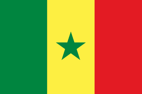 Drapeau SENEGAL