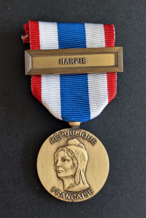 Médaille de la protection militaire du territoire (2/1)