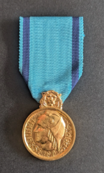 Médaille de la jeunesse et des sports (1)