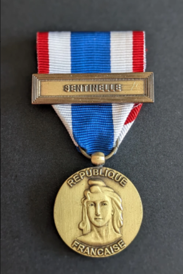 Médaille de la protection militaire du territoire (1/1)