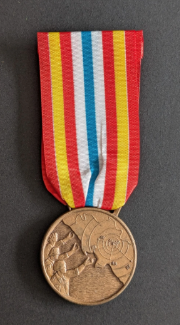 Médaille commémorative du tremblement de terre en Irpinia et Basilicate
