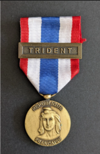 Médaille de la protection militaire du territoire (1/2)